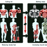 Cutting vs bulking: using acetato di metenolone strategically
